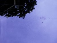 Basingstoke Carnival Parachute 2